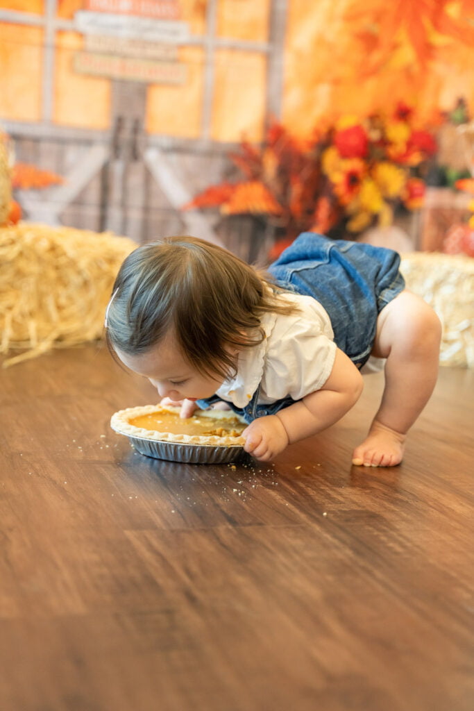 Baby going face first into a pumpkin pie during a mini session themed photoshoot