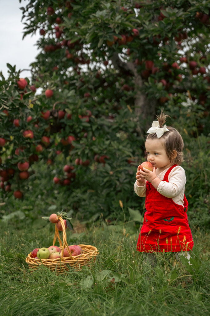 Fall photos toddler photoshoot idea with a baby holding an apple