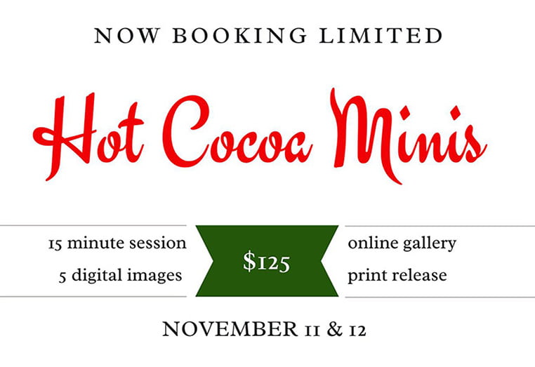 Holiday, winter, and Christmas themed family portraits for toddlers, babies, and infants